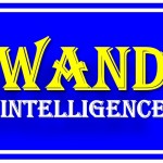 WAND Intelligence